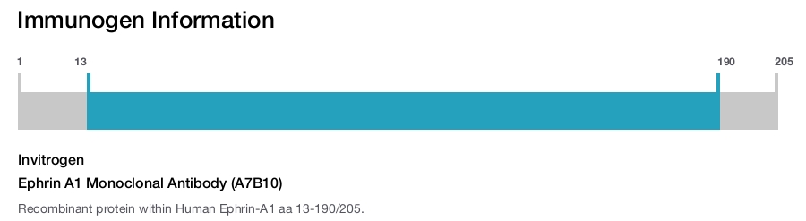 Ephrin A1 Monoclonal Antibody (A7B10)