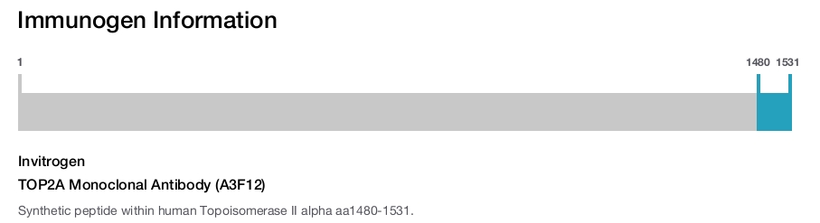 TOP2A Monoclonal Antibody (A3F12)