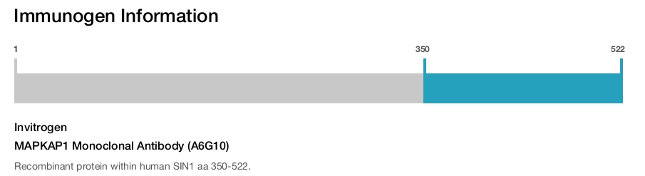 MAPKAP1 Monoclonal Antibody (A6G10)