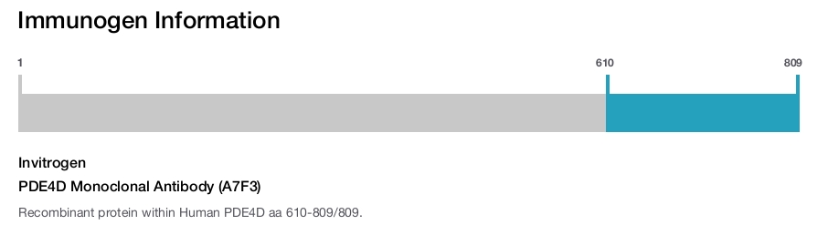 PDE4D Monoclonal Antibody (A7F3)