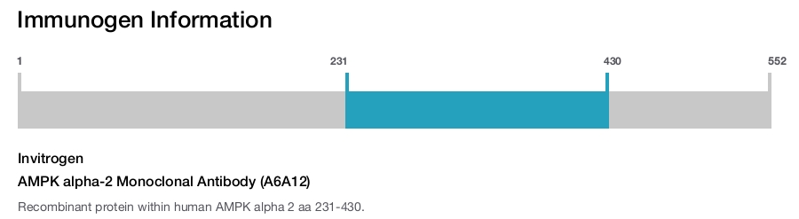 AMPK alpha-2 Monoclonal Antibody (A6A12)