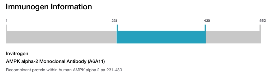 AMPK alpha-2 Monoclonal Antibody (A6A11)