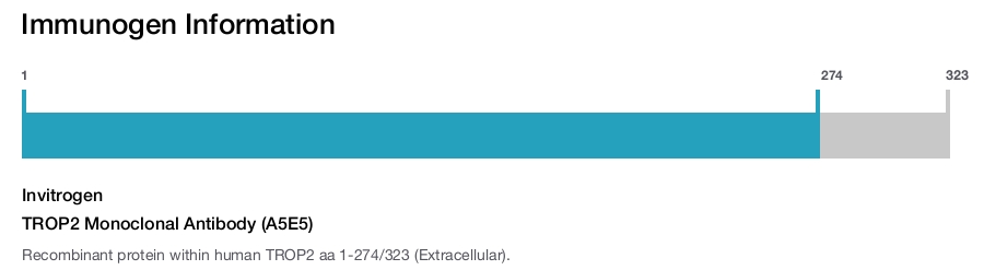 TROP2 Monoclonal Antibody (A5E5)