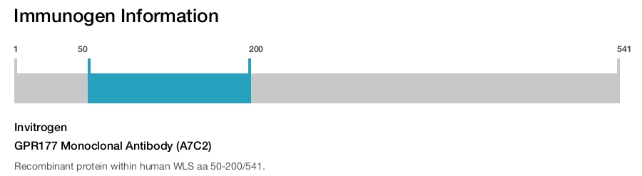 GPR177 Monoclonal Antibody (A7C2)