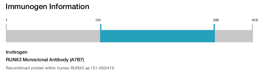 RUNX3 Monoclonal Antibody (A7B7)