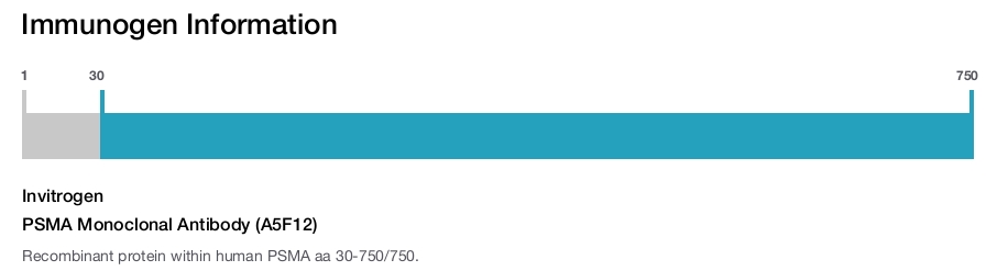 PSMA Monoclonal Antibody (A5F12)