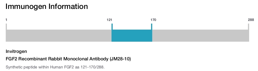 FGF2 Recombinant Rabbit Monoclonal Antibody (JM28-10)