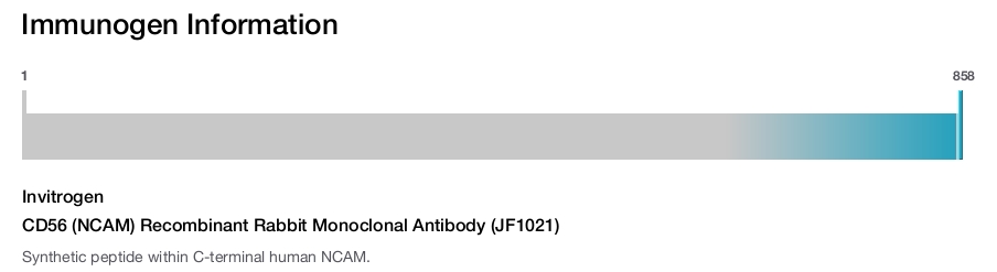 CD56 (NCAM) Recombinant Rabbit Monoclonal Antibody (JF1021)