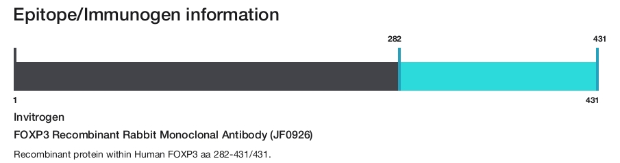 FOXP3 Recombinant Rabbit Monoclonal Antibody (JF0926)