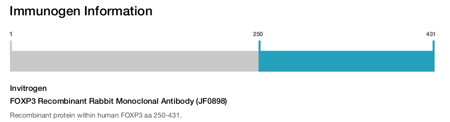 FOXP3 Recombinant Rabbit Monoclonal Antibody (JF0898)