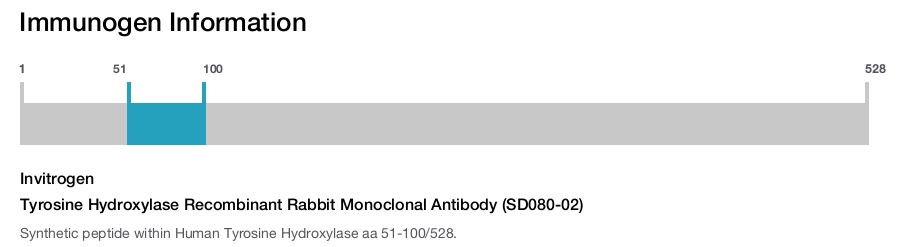 Tyrosine Hydroxylase Recombinant Rabbit Monoclonal Antibody (SD080-02)