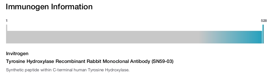 Tyrosine Hydroxylase Recombinant Rabbit Monoclonal Antibody (SN59-03)
