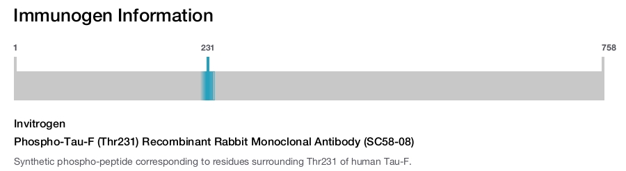 Phospho-Tau-F (Thr231) Recombinant Rabbit Monoclonal Antibody (SC58-08)