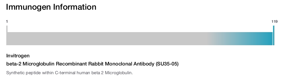 beta-2 Microglobulin Recombinant Rabbit Monoclonal Antibody (SU35-05)