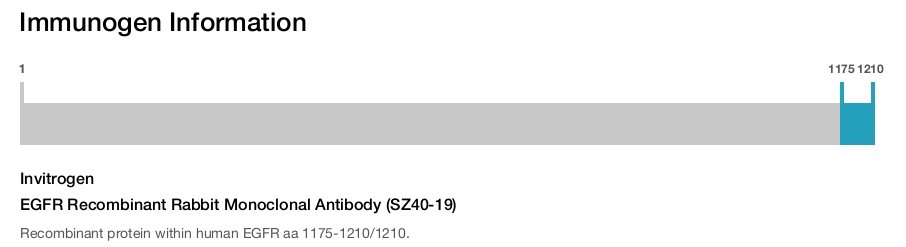 EGFR Recombinant Rabbit Monoclonal Antibody (SZ40-19)