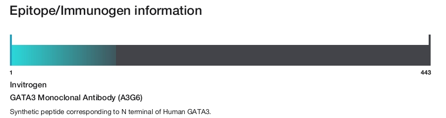 GATA3 Monoclonal Antibody (A3G6)