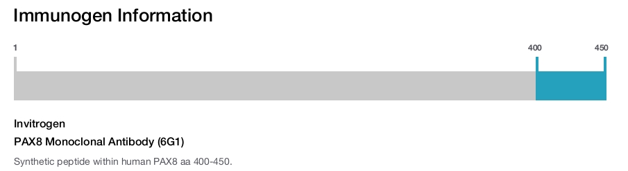 PAX8 Monoclonal Antibody (6G1)