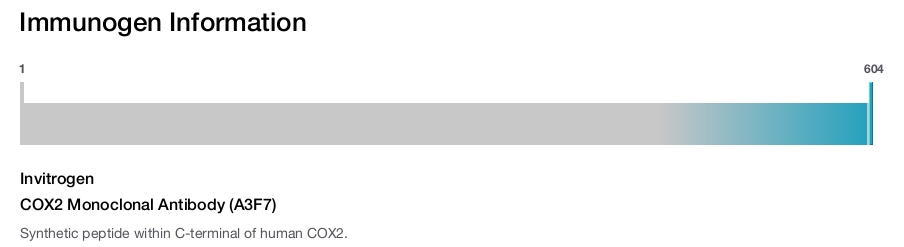 COX2 Monoclonal Antibody (A3F7)