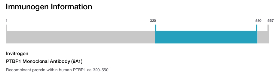 PTBP1 Monoclonal Antibody (9A1)