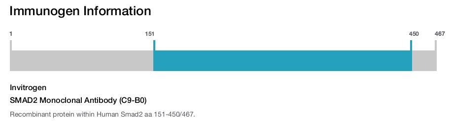 SMAD2 Monoclonal Antibody (C9-B0)