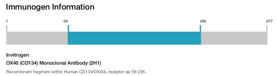 OX40 (CD134) Monoclonal Antibody (2H1)