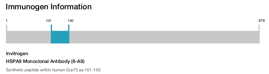 HSPA9 Monoclonal Antibody (6-A9)