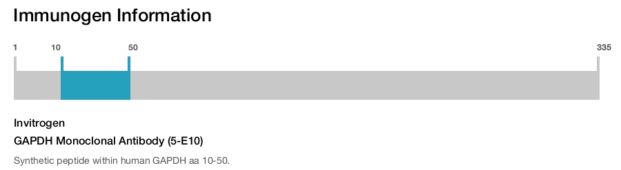 GAPDH Monoclonal Antibody (5-E10)