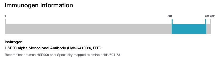 HSP90 alpha Monoclonal Antibody (Hyb-K41009), FITC