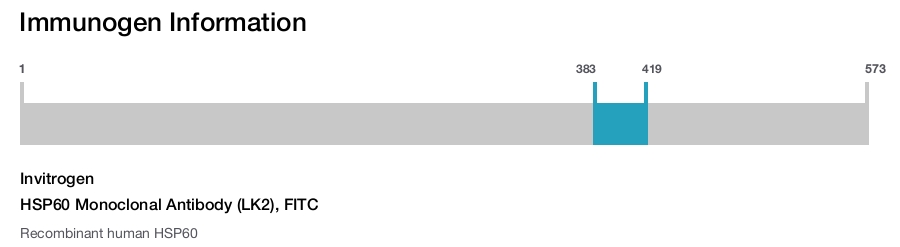 HSP60 Monoclonal Antibody (LK2), FITC