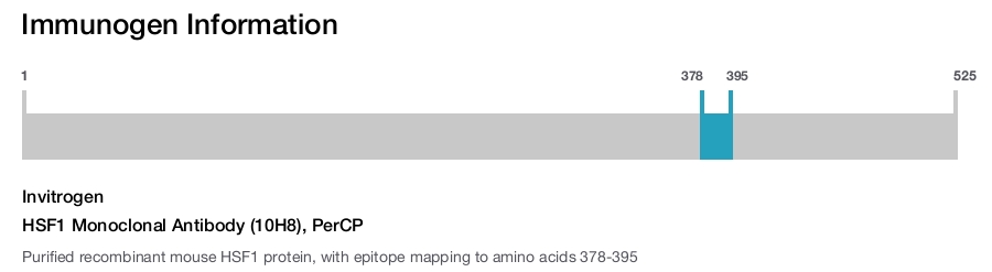 HSF1 Monoclonal Antibody (10H8), PerCP