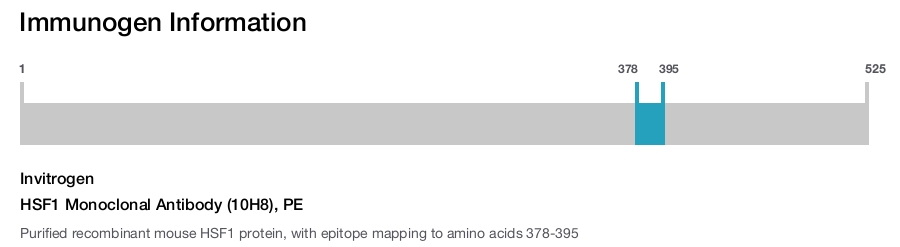 HSF1 Monoclonal Antibody (10H8), PE