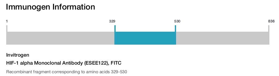 HIF-1 alpha Monoclonal Antibody (ESEE122), FITC