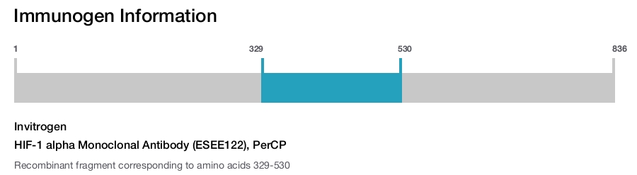 HIF-1 alpha Monoclonal Antibody (ESEE122), PerCP