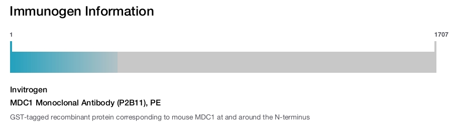 MDC1 Monoclonal Antibody (P2B11), PE