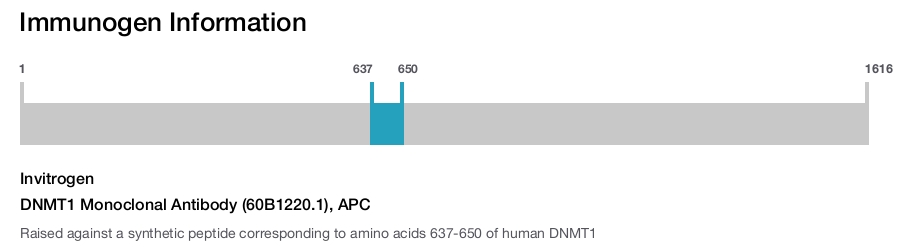 DNMT1 Monoclonal Antibody (60B1220.1), APC