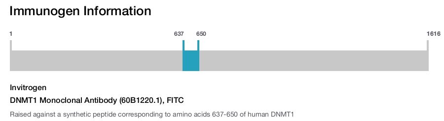 DNMT1 Monoclonal Antibody (60B1220.1), FITC