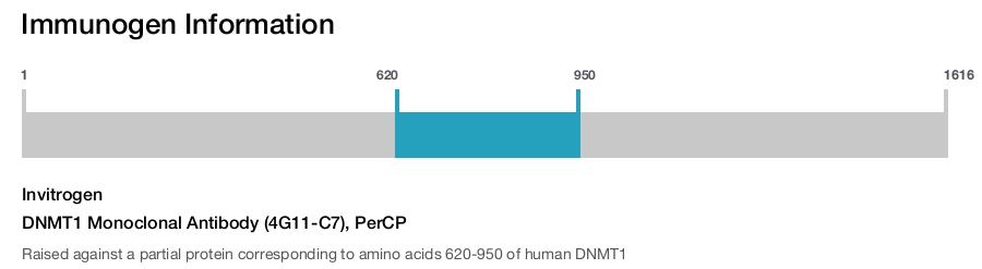 DNMT1 Monoclonal Antibody (4G11-C7), PerCP