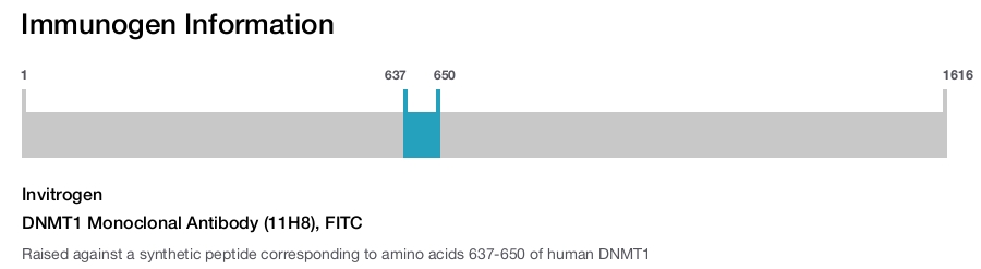 DNMT1 Monoclonal Antibody (11H8), FITC
