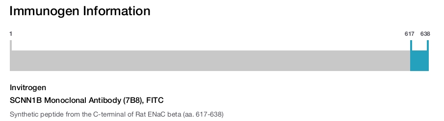 SCNN1B Monoclonal Antibody (7B8), FITC