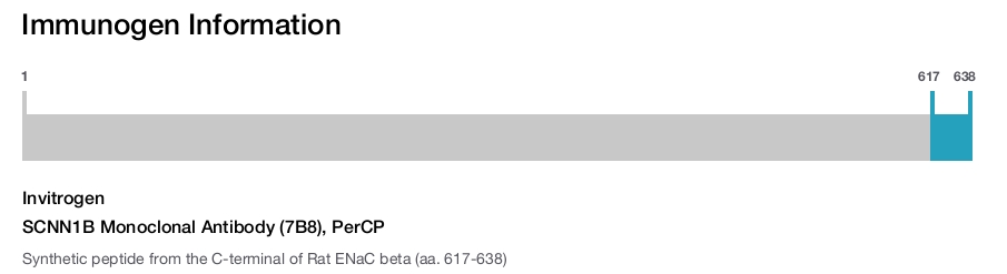 SCNN1B Monoclonal Antibody (7B8), PerCP