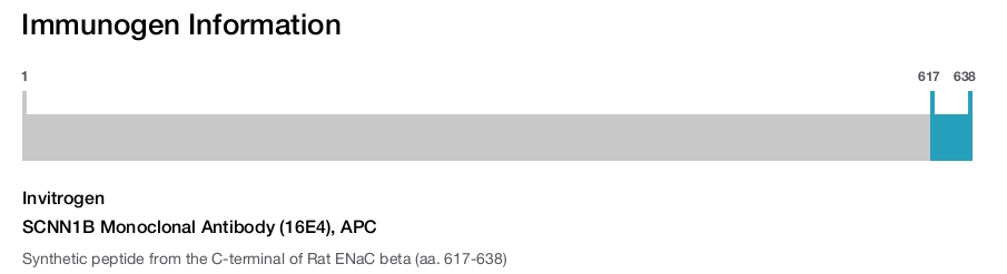 SCNN1B Monoclonal Antibody (16E4), APC