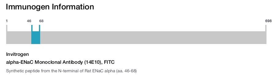 alpha-ENaC Monoclonal Antibody (14E10), FITC