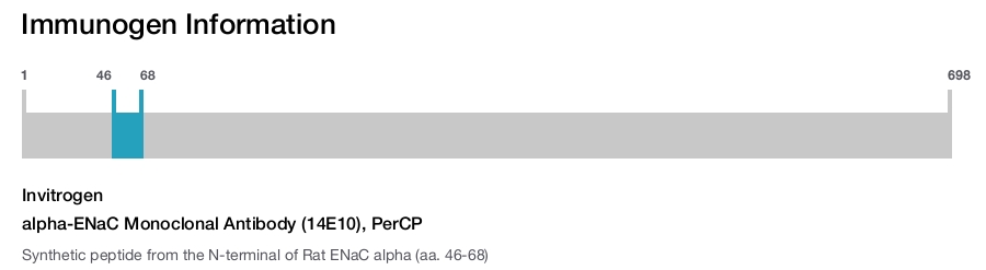 alpha-ENaC Monoclonal Antibody (14E10), PerCP