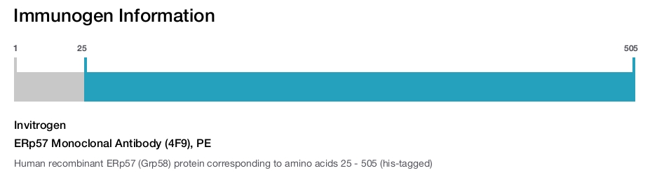 ERp57 Monoclonal Antibody (4F9), PE