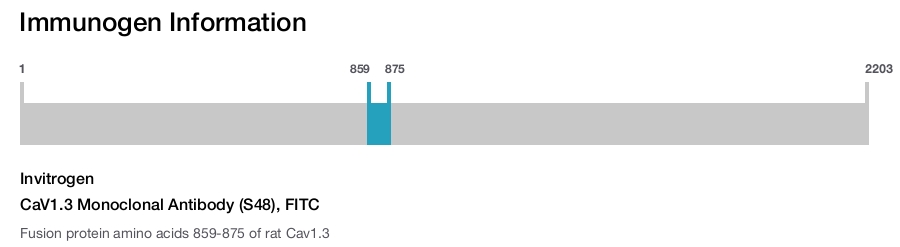 CaV1.3 Monoclonal Antibody (S48), FITC