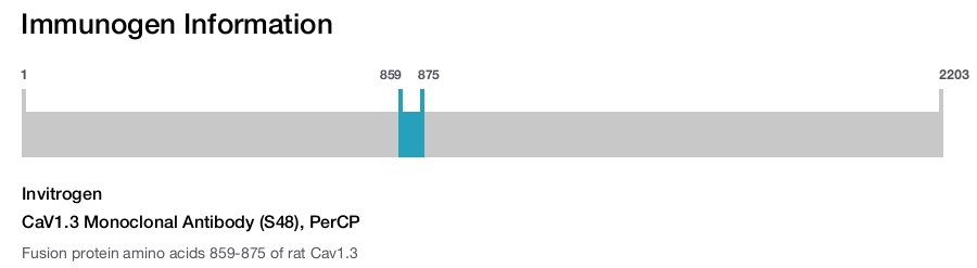 CaV1.3 Monoclonal Antibody (S48), PerCP