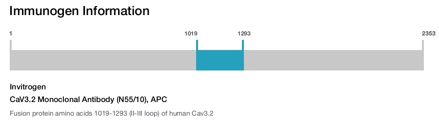CaV3.2 Monoclonal Antibody (N55/10), APC