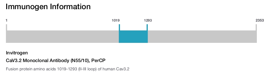 CaV3.2 Monoclonal Antibody (N55/10), PerCP