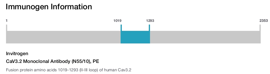 CaV3.2 Monoclonal Antibody (N55/10), PE
