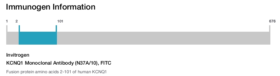KCNQ1 Monoclonal Antibody (N37A/10), FITC